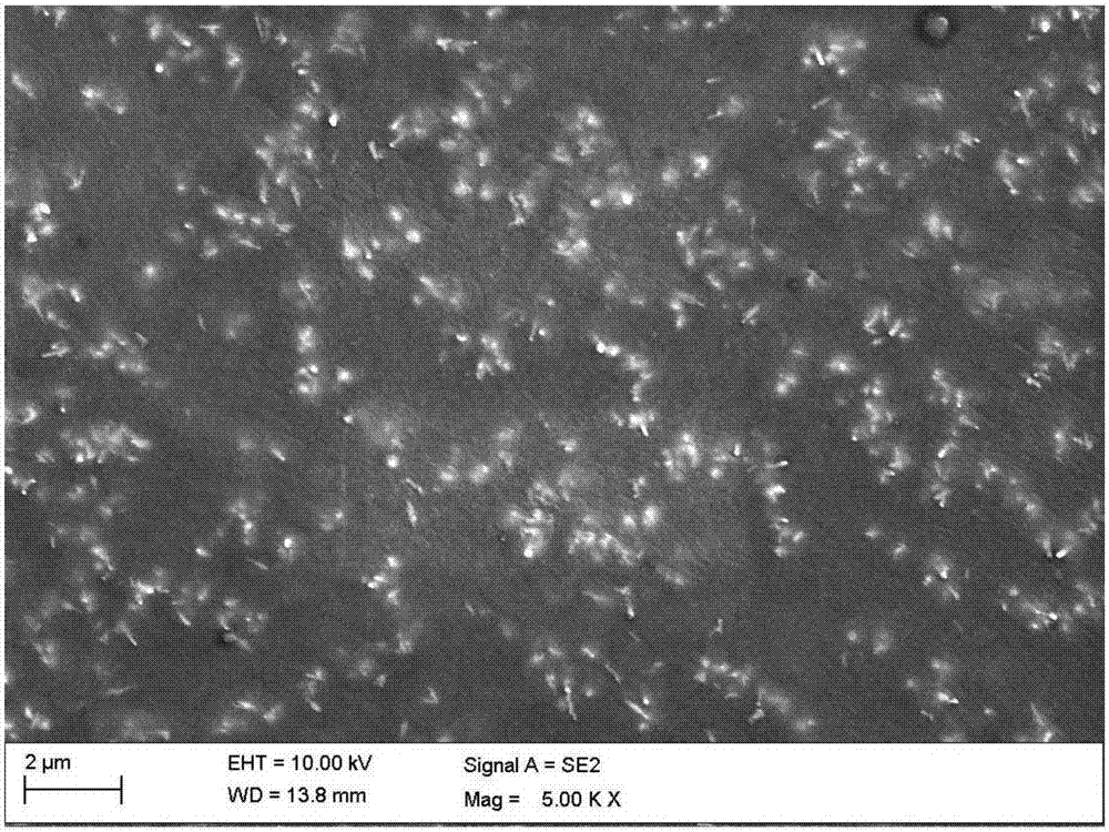 A preparation method of anti-fouling material with needle-shaped filler oriented arrangement