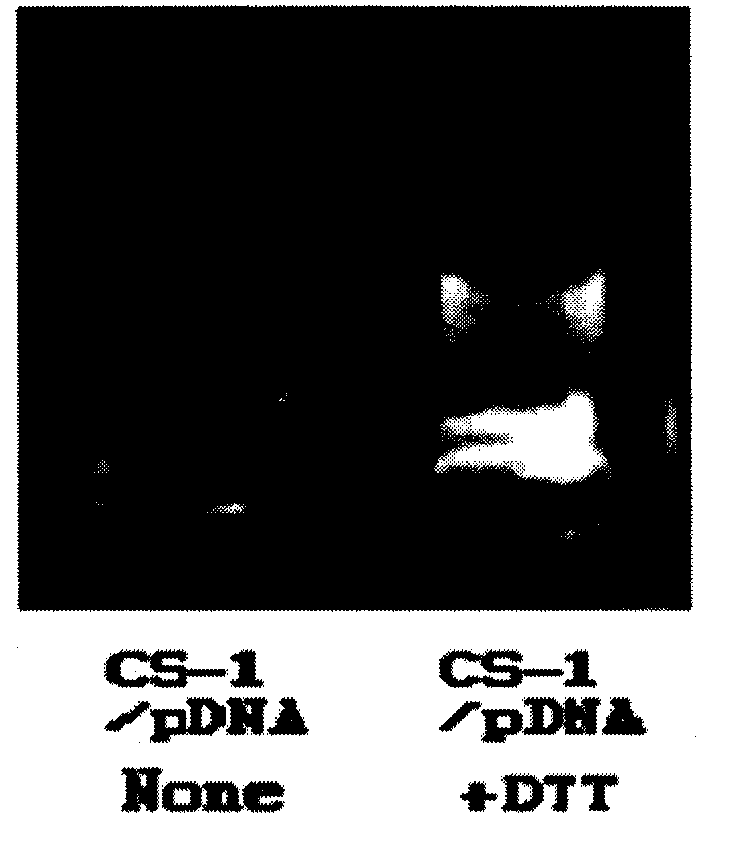 Organic functional compound having disulfide chemical bond and steroids skeleton, preparation method thereof and use thereof