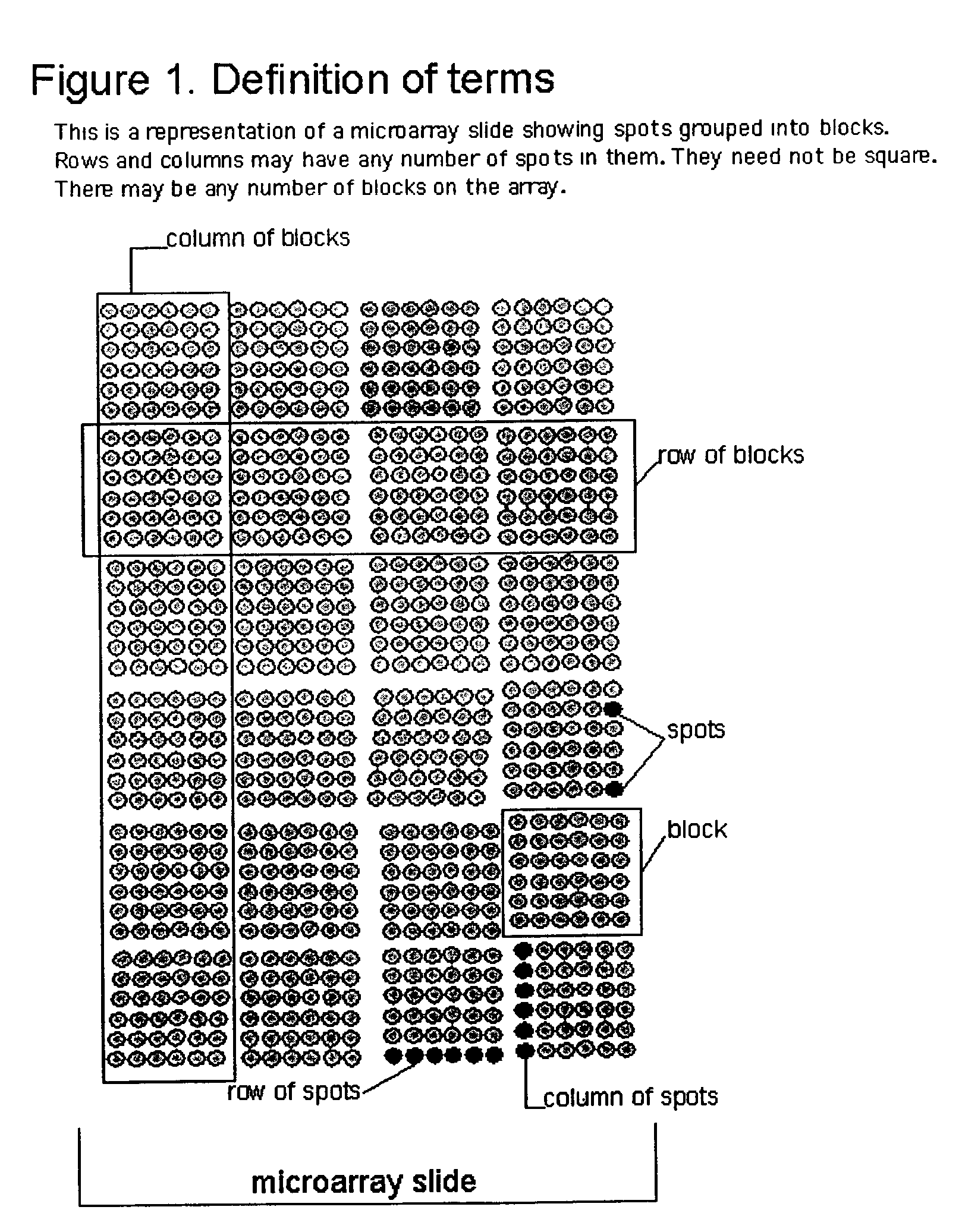 Method, system, and computer code for finding spots defined in biological microarrays