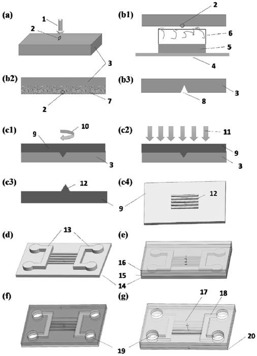 Nanofluidic chip based on nanocracks and processing method thereof
