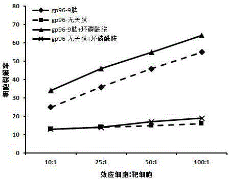 Heat shock protein complex associated with cervical cancer and application of heat shock protein complex