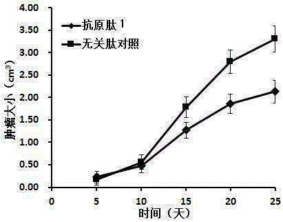 Heat shock protein complex associated with cervical cancer and application of heat shock protein complex