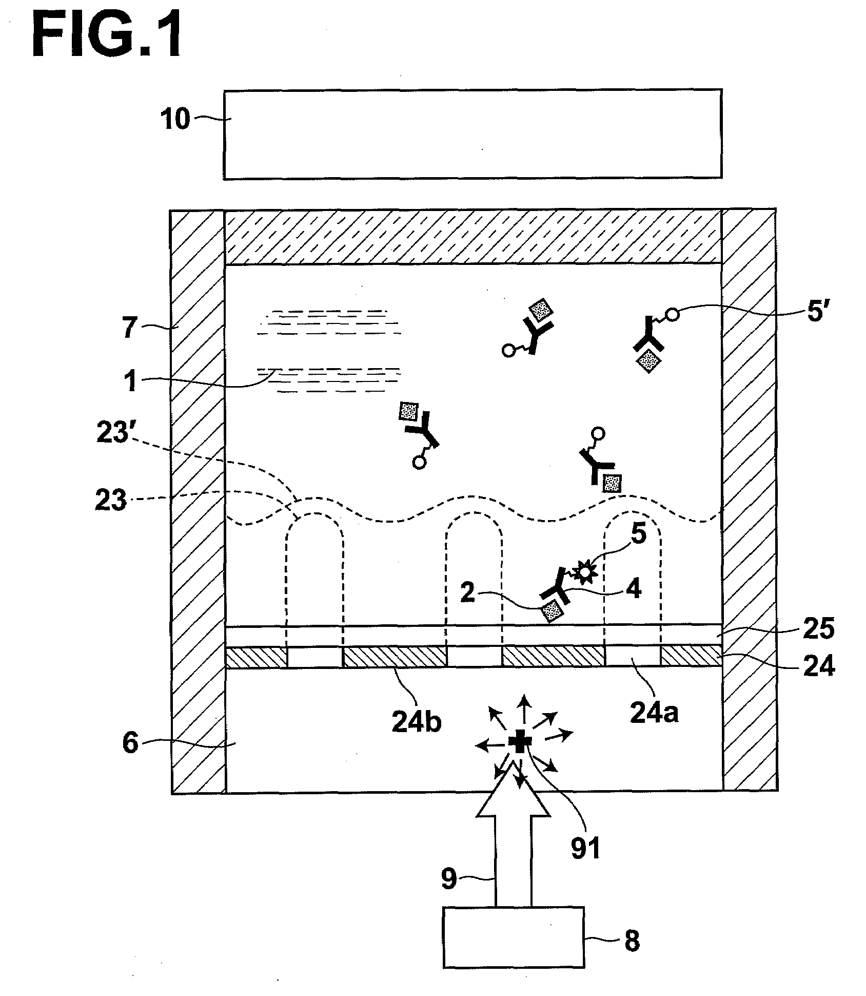 Fluorescence sensor and method for producing thin metal film with apertures to be used by the fluorescence sensor