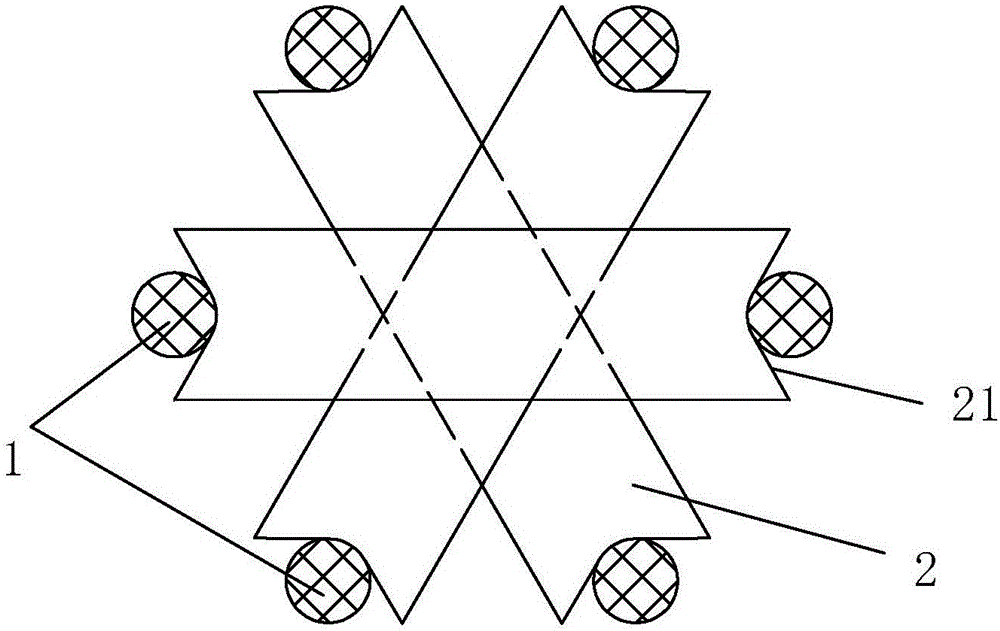 Clustered cultivating method for crape myrtle