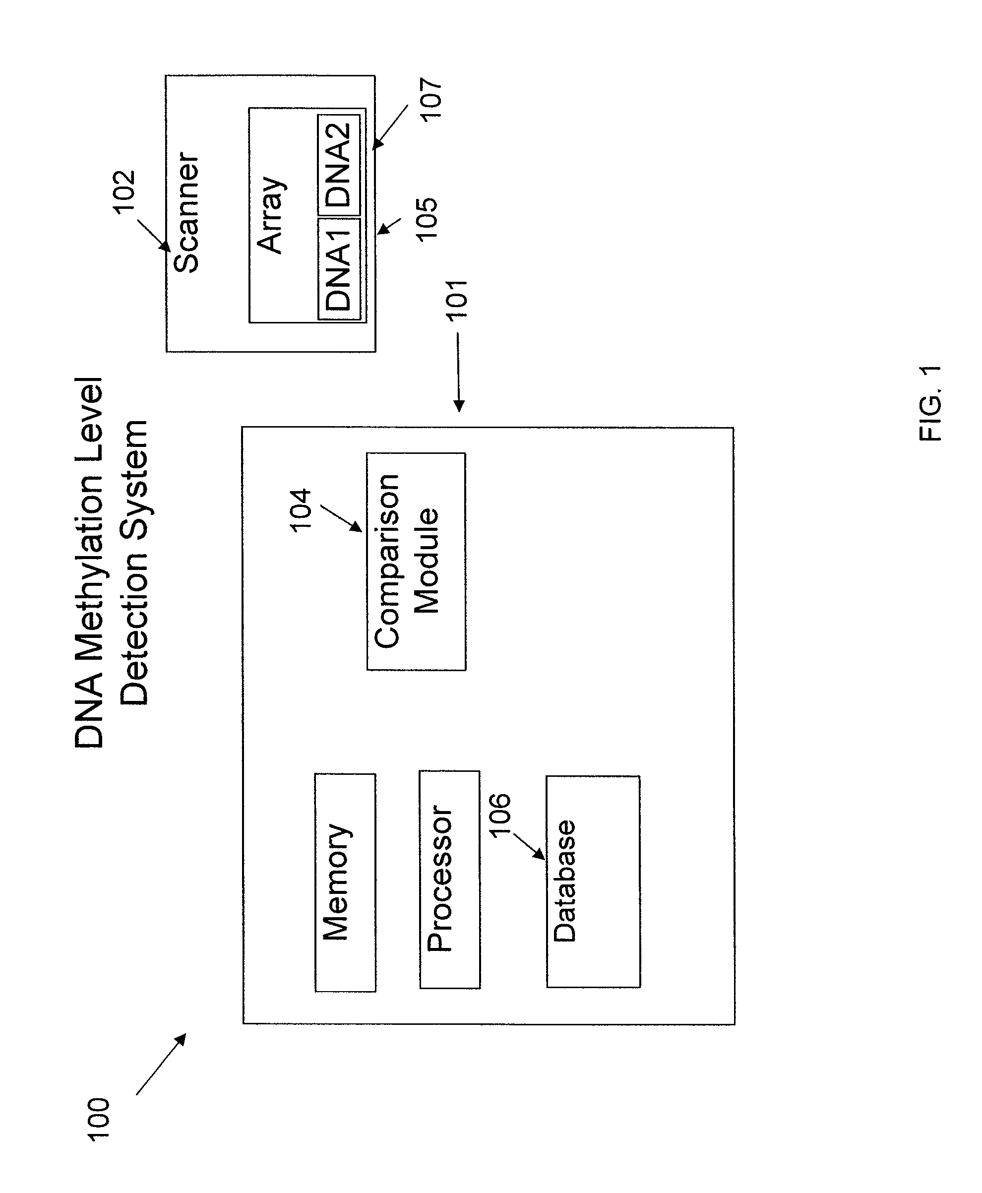 System and method of measuring methylation of nucleic acids