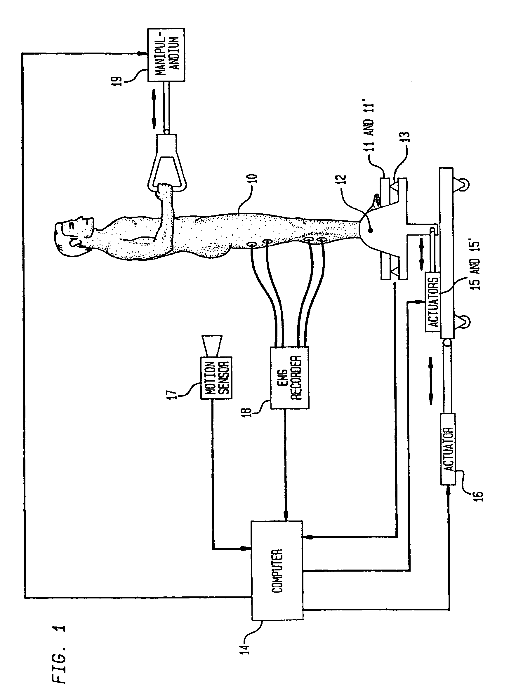 Apparatus and method for movement coordination analysis