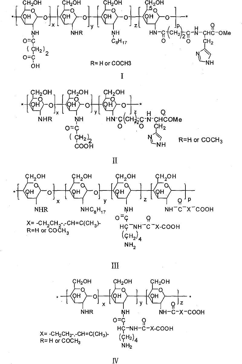 Amphoteric ion-based charge reversal chitosan derivative and application thereof in medicament