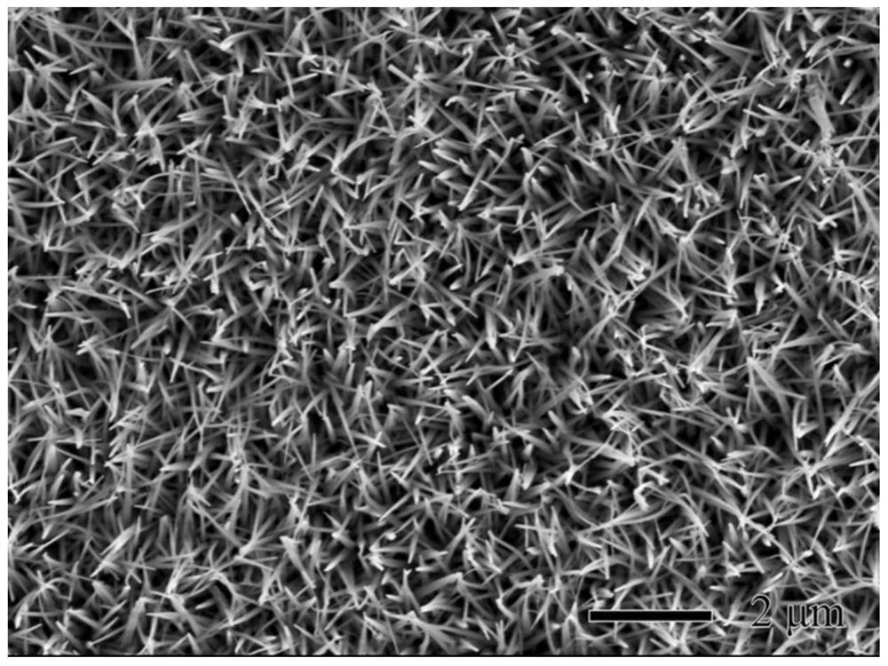 Preparation and Application of Membrane Electrode Based on Platinum or Platinum Alloy Nanotubes