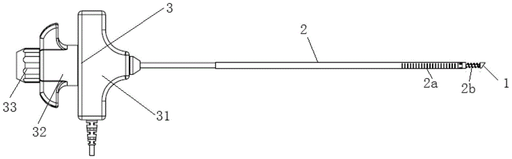 Radiofrequency ablation device for spinal tumor treatment