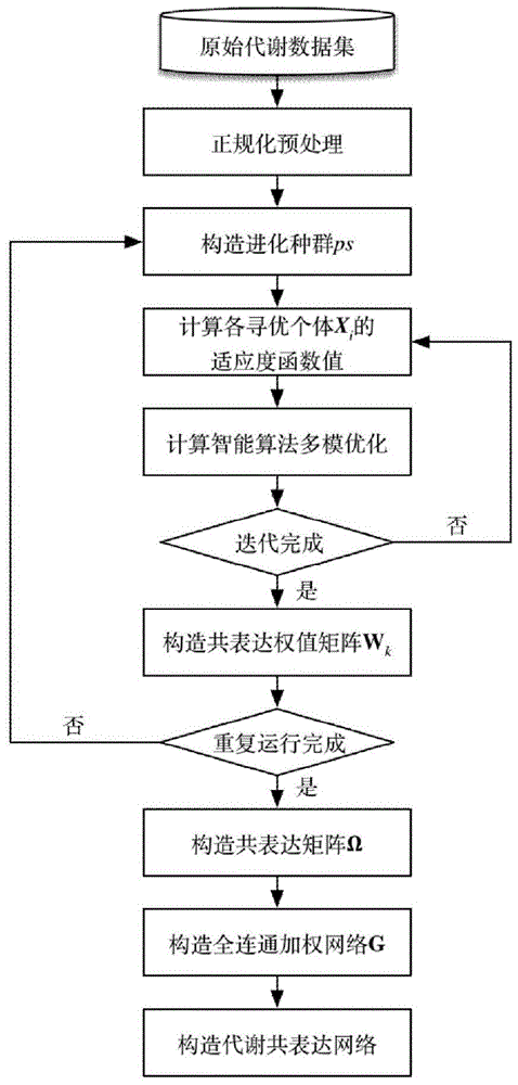 Construction method and system of heuristic metabolic co-expression network