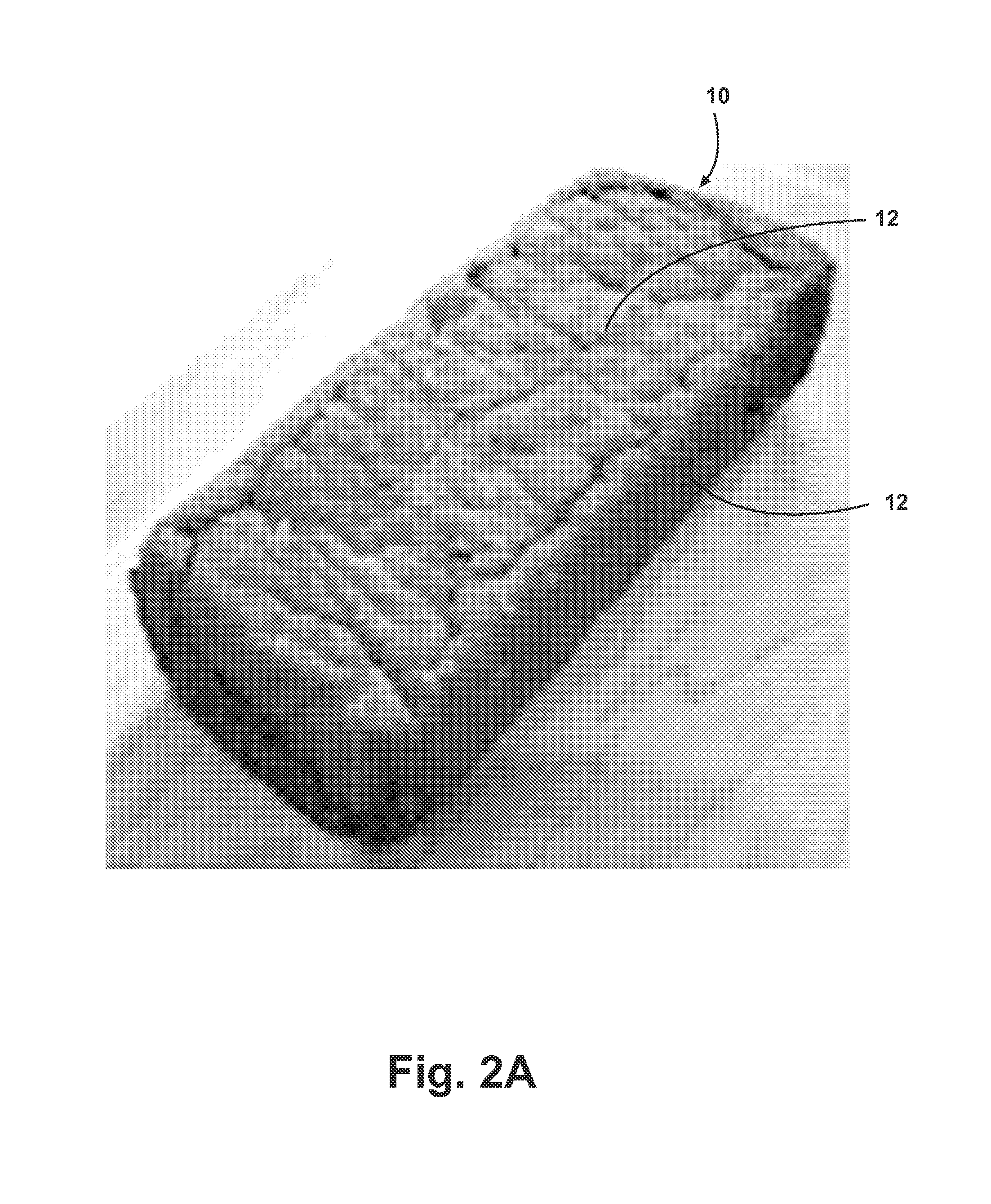Device and Process for Processing Organic Waste