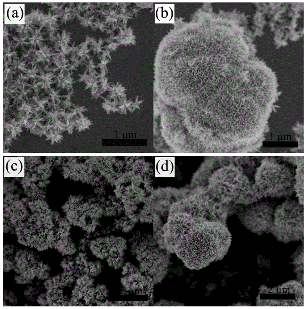 A kind of velvet flower-like Fe3O4 with micro-nano structure and preparation method thereof