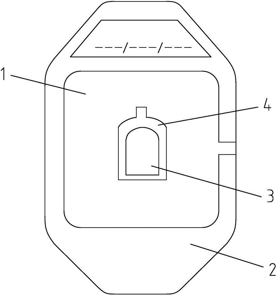 Transparent plaster for detaining needle