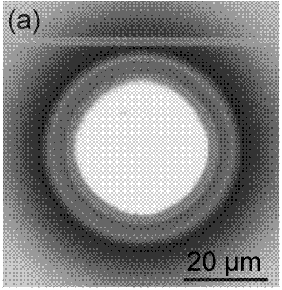 A Chip-Integrated 2-micron Wavelength Microlaser