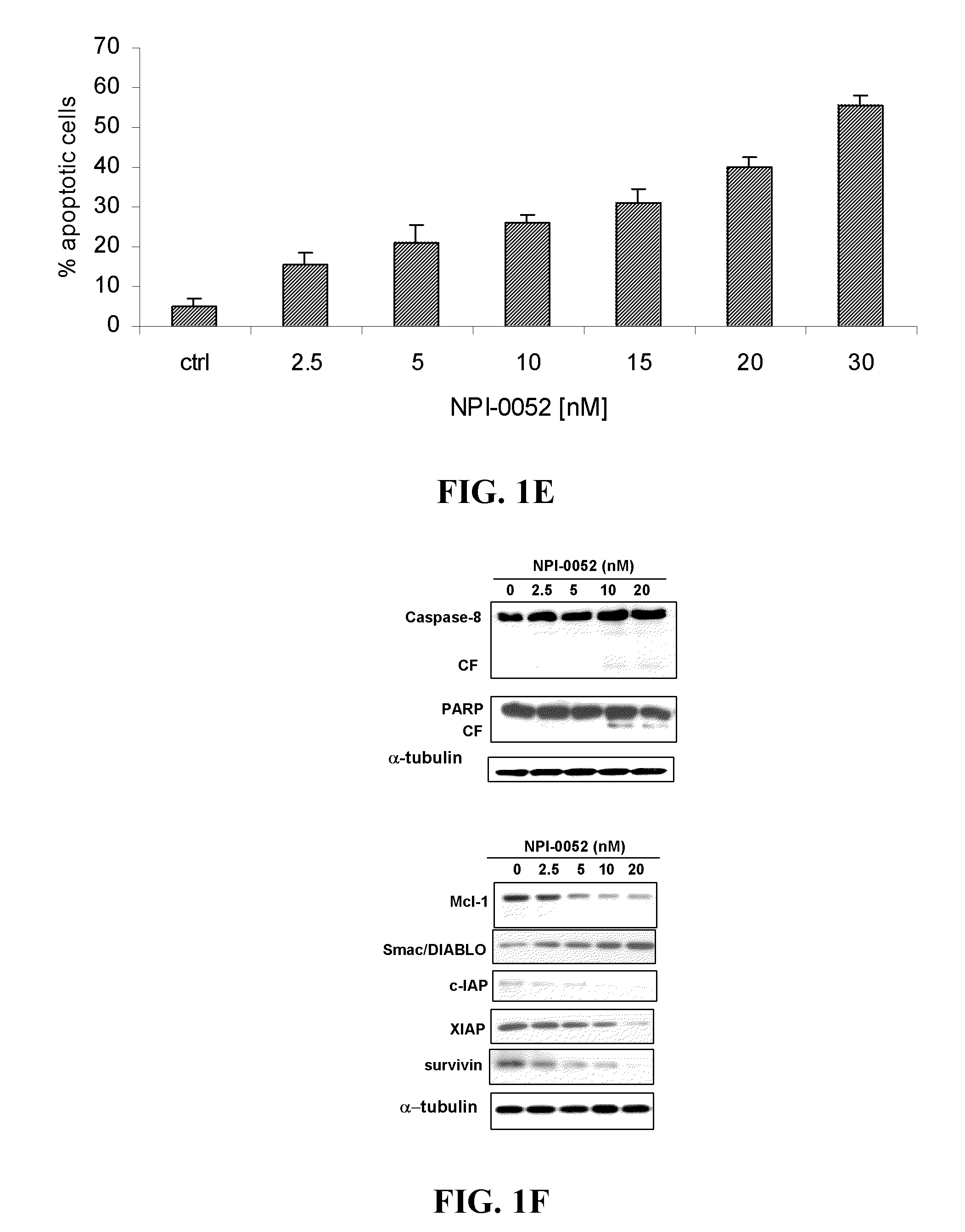Methods of using [3.2.0] heterocyclic compounds and analogs thereof in treating Waldenstrom's Macroglobulinemia