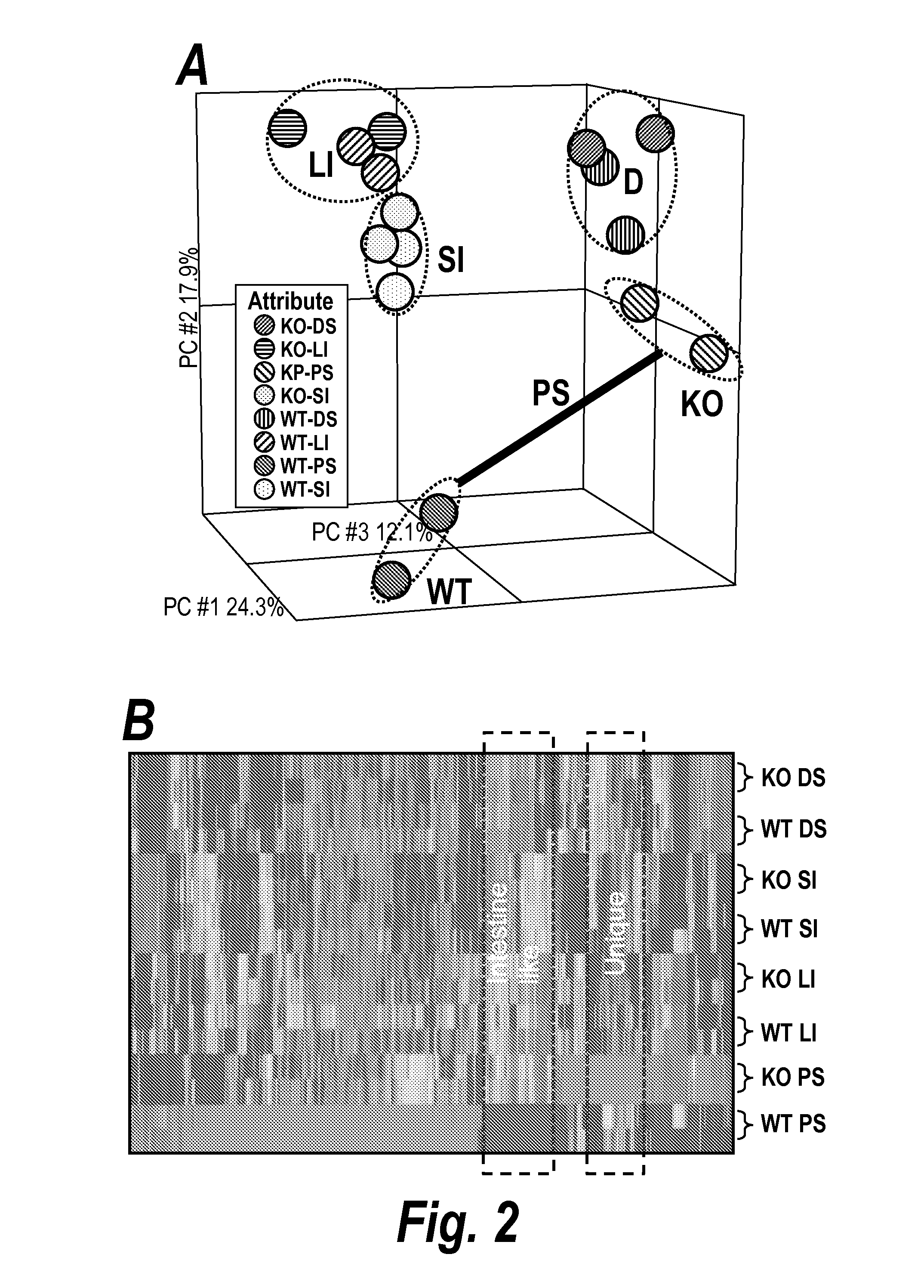 Methods and reagents for detection and treatment of esophageal metaplasia