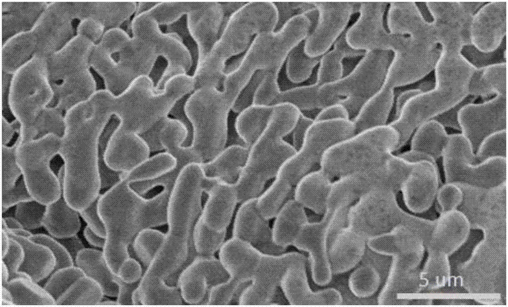 Three-dimensional printing molding preparation method for porous ceramic for filtration