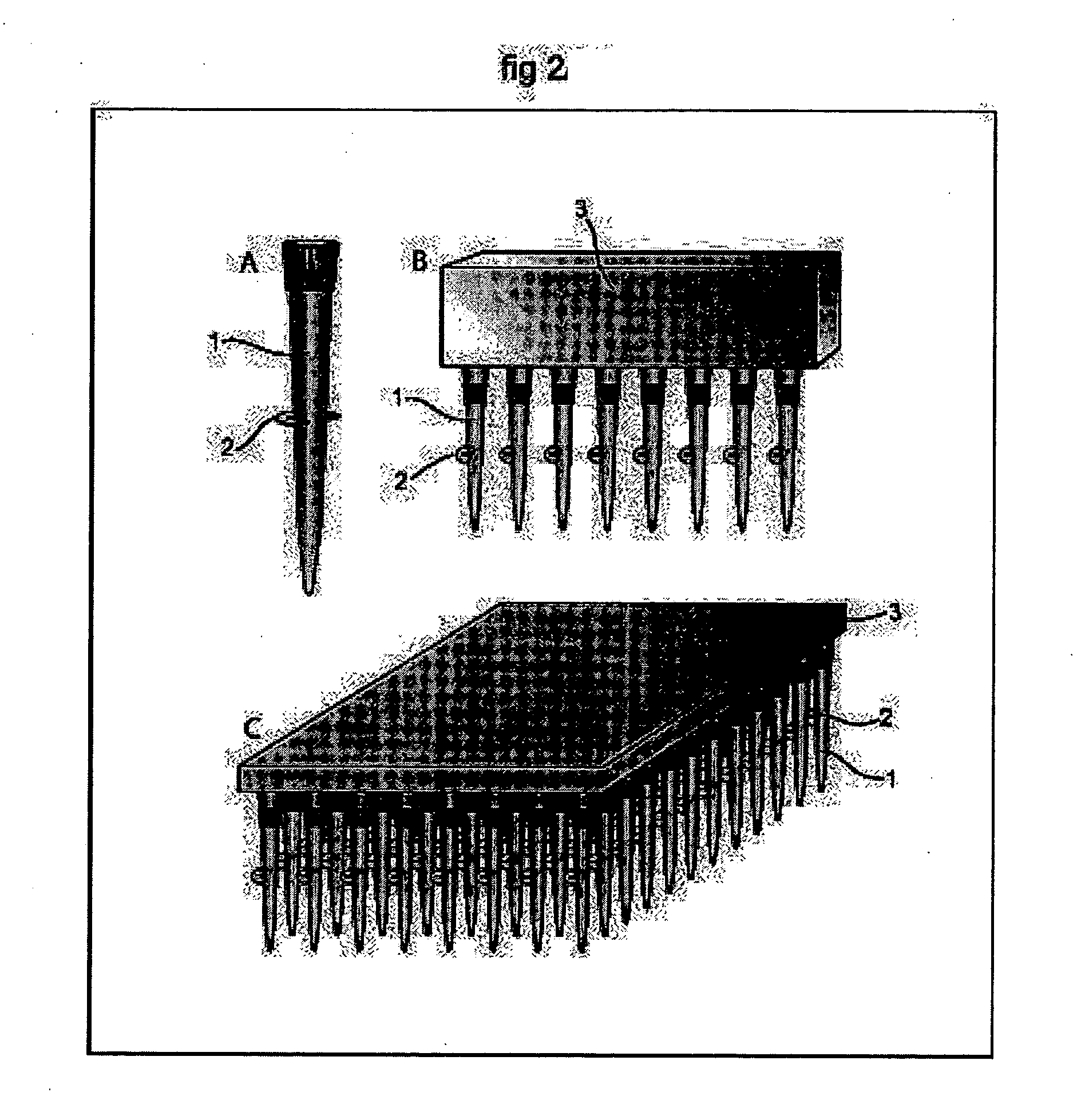 Method and apparatus for spatially confined electroporation