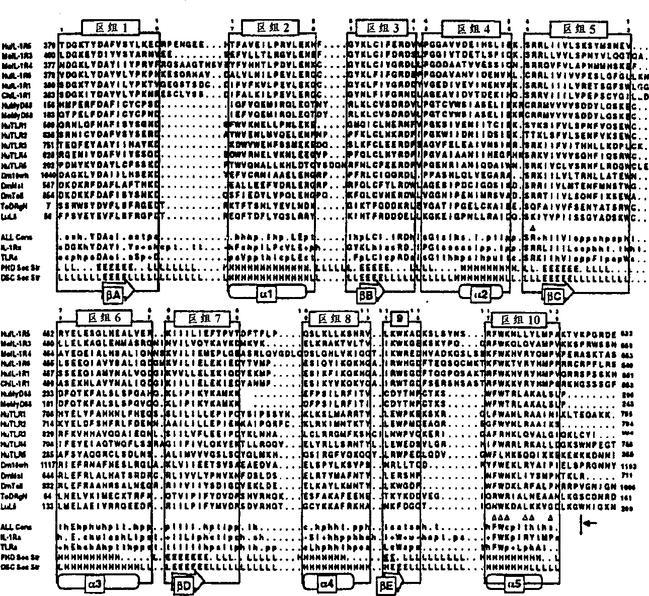 Human TOLL-like receptor proteins, related reagents and methods