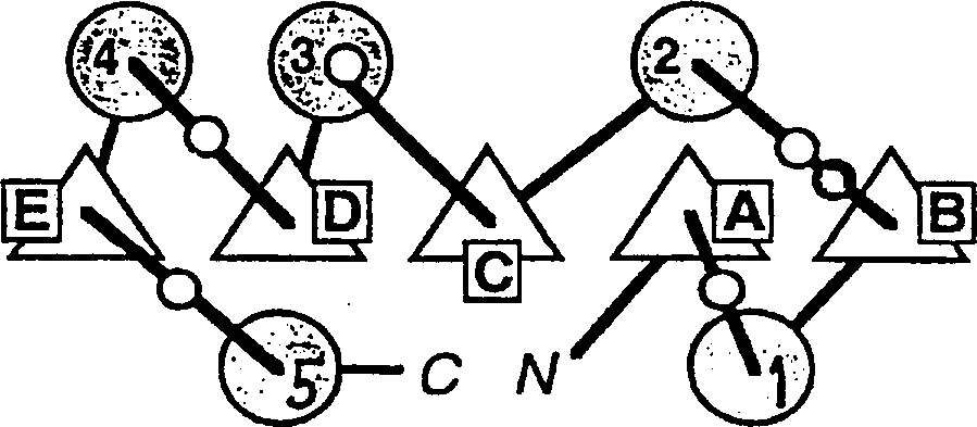 Human TOLL-like receptor proteins, related reagents and methods