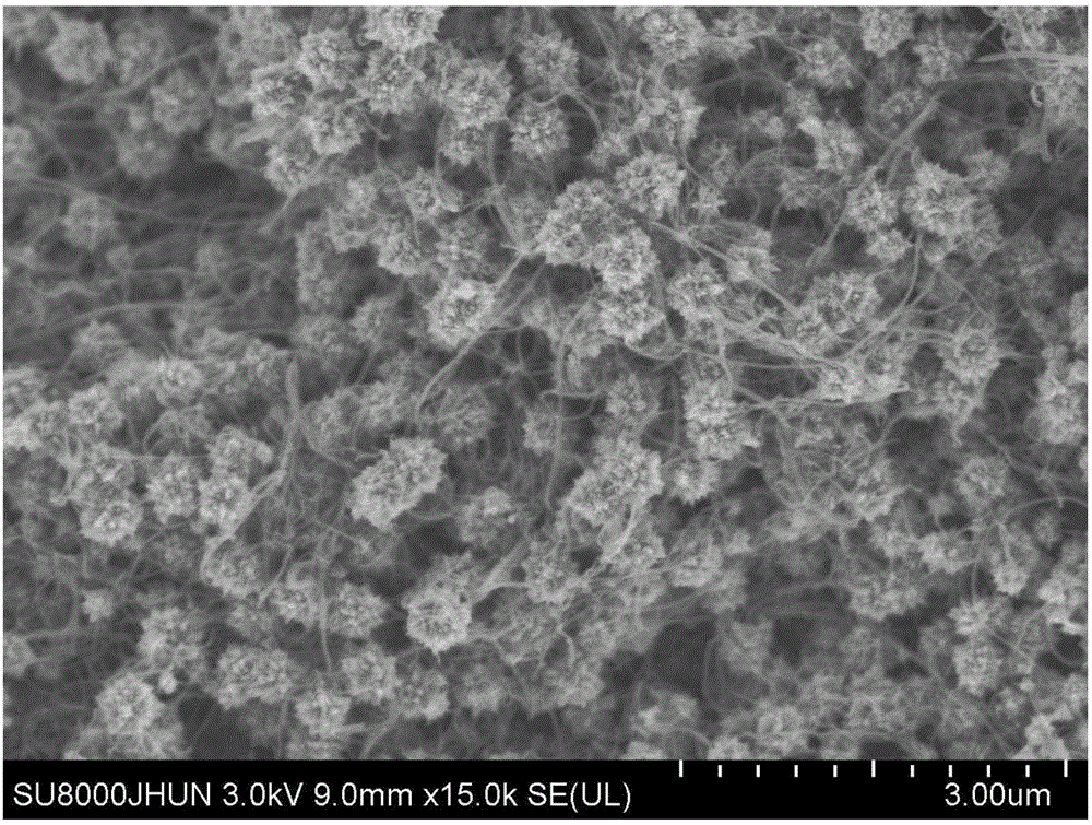 Preparation method for multi-walled carbon nanotube/titanium dioxide composite negative electrode material of lithium ion battery