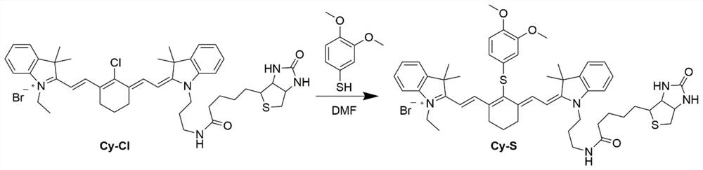 Preparation and application of cyanine dye-based targeting cysteine fluorescent probe