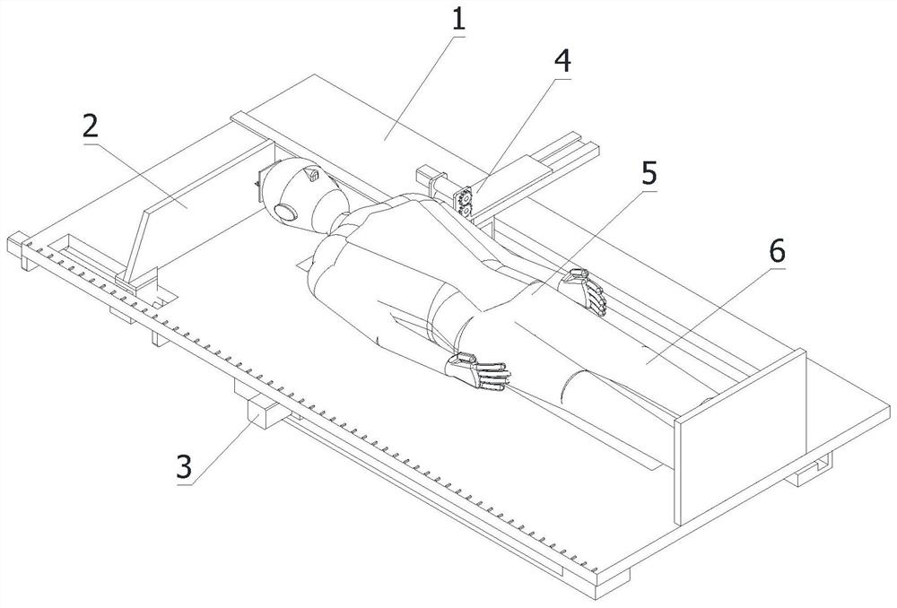 Human body size automatic measuring device and method for forensic detection