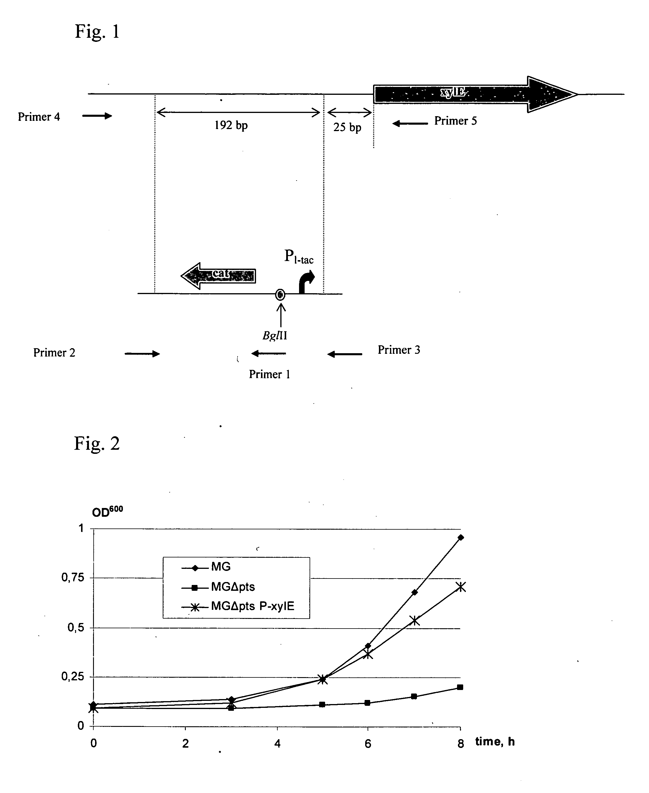 Method for producing L-amino acids using bacteria of the Enterobacteriaceae family