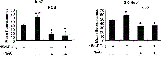 Inhibitor for hepatoma carcinoma cell and application to aspect of inhibiting tumor growth thereof