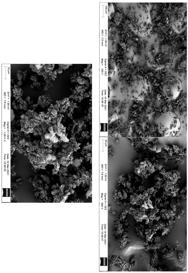 A kind of bio-based soft porcelain and preparation method thereof