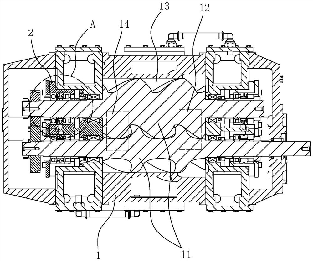 Bearing lubrication structure of screw blower or vacuum pump