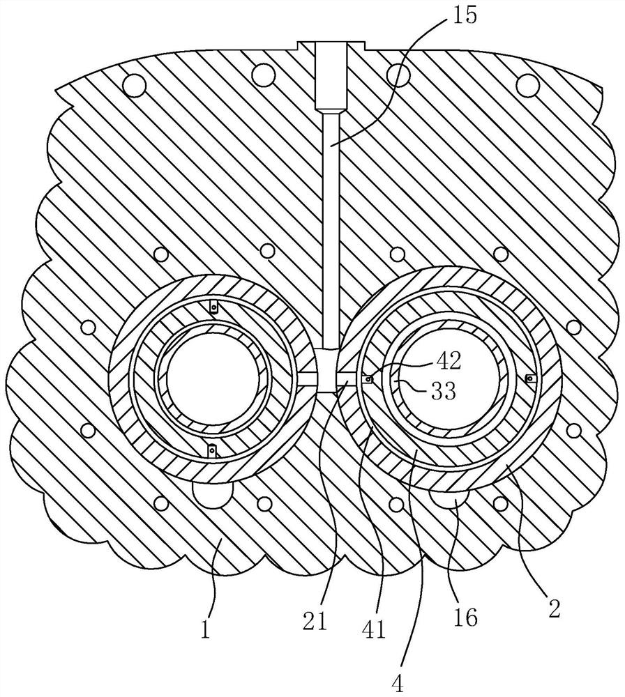 Bearing lubrication structure of screw blower or vacuum pump