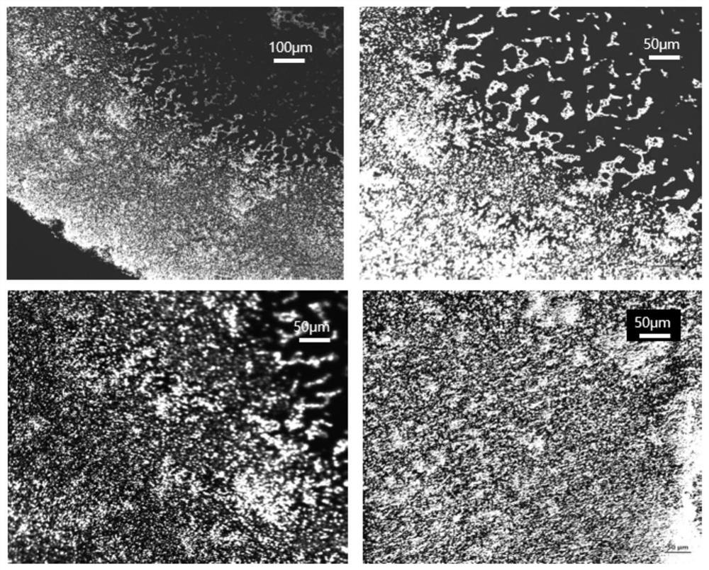 Substrate material for highly reproducible surface-enhanced Raman scattering and method of use thereof