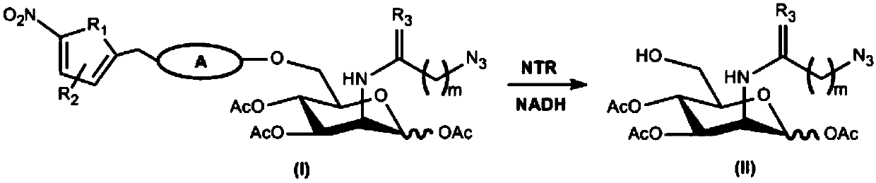 N-azidoacetyl-D-mannosamine derivative, preparation method , and application thereof in detecting nitroreductase