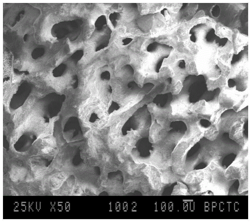 Bioactive and degradable coral hydroxyapatite artificial bone