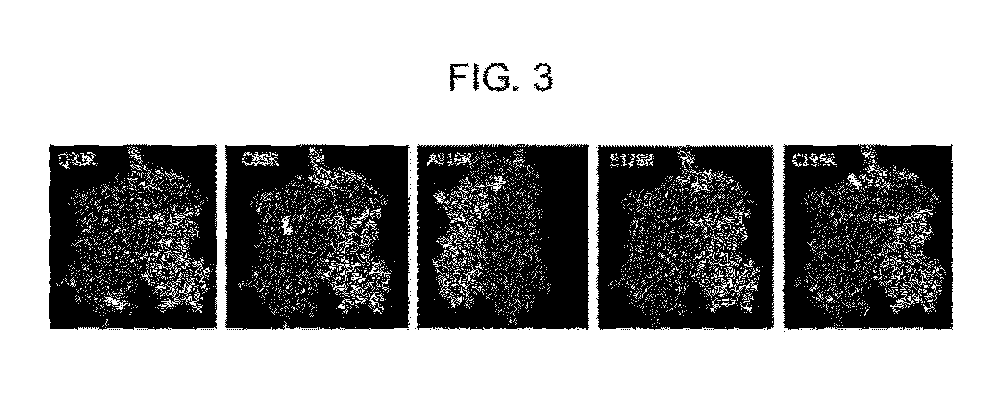 Inducible expression system transcription modulators comprising a distributed protein transduction domain and methods for using the same