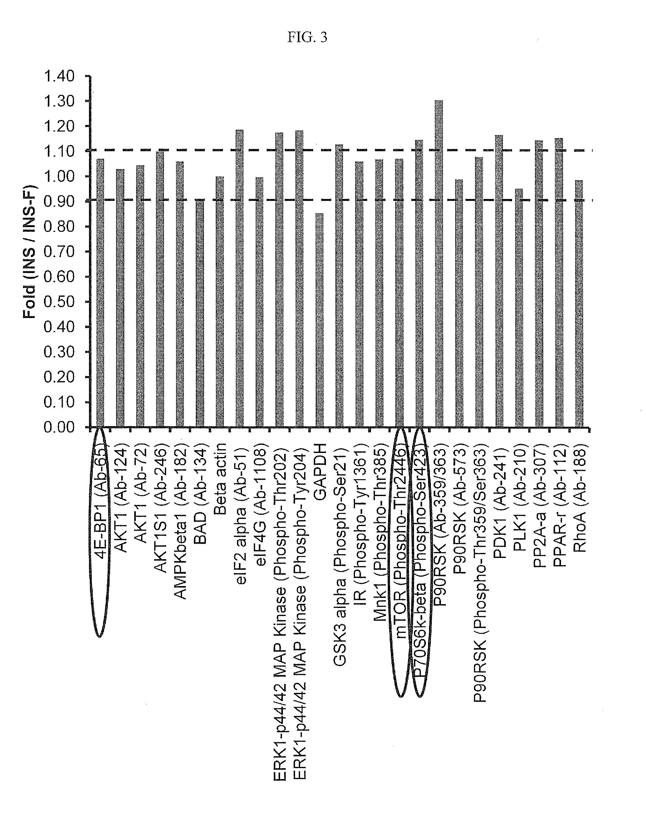 Mammalian cell culture processes for protein production