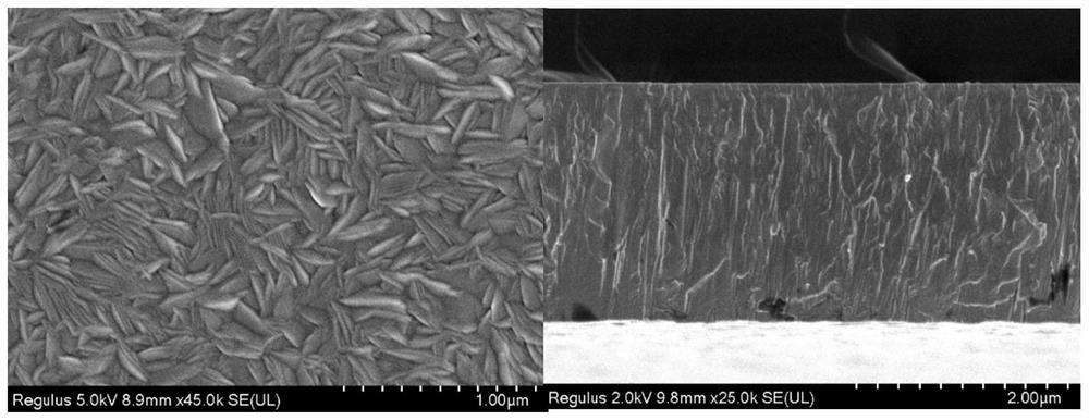 Nanocrystal TaWMoCrZr refractory high-entropy alloy coating and preparation method thereof