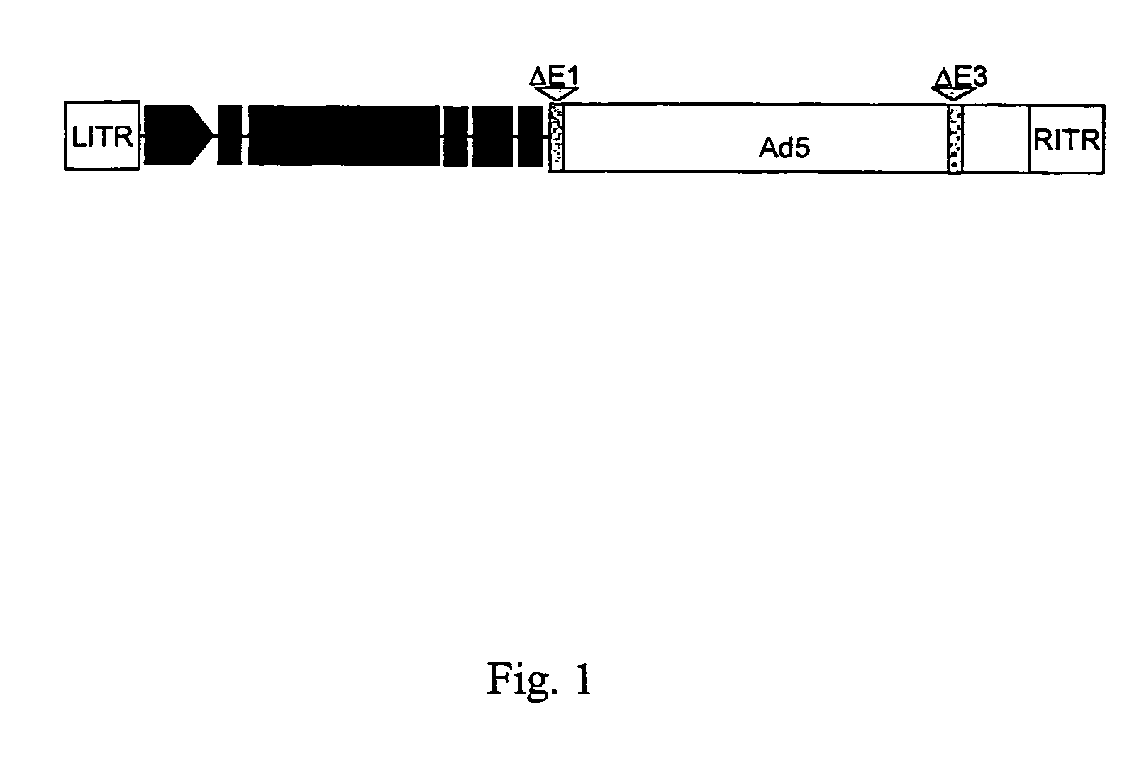 Compositions and methods for treating cancer with an oncolytic viral agent