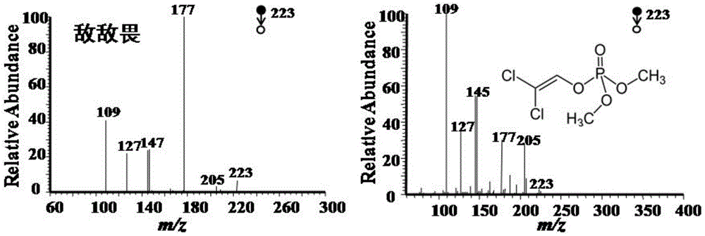 Method for directly detecting five chemical pollutants in propolis through extractive electrospray ionization mass spectrum