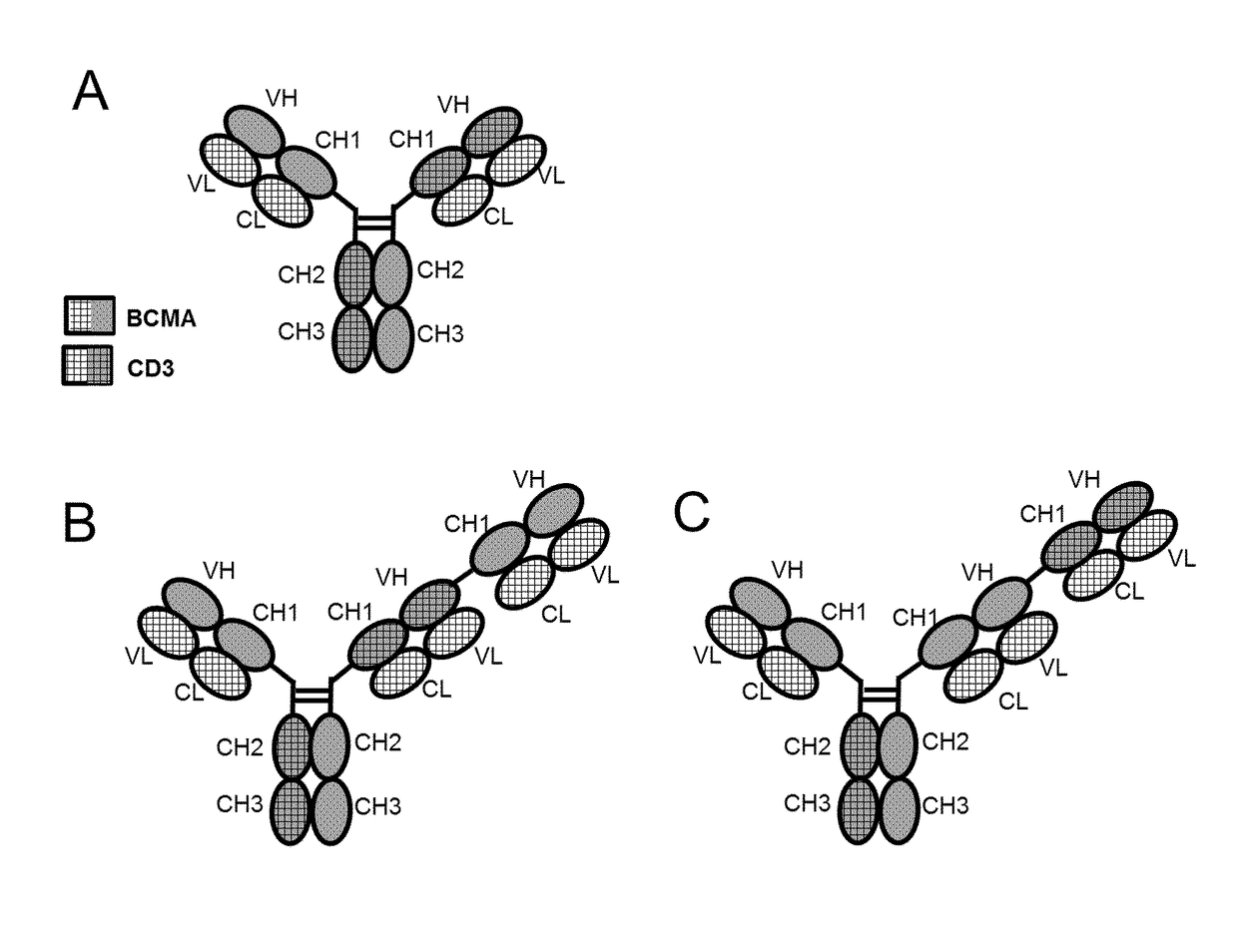 Bispecific antibodies against cd3epsilon and bcma