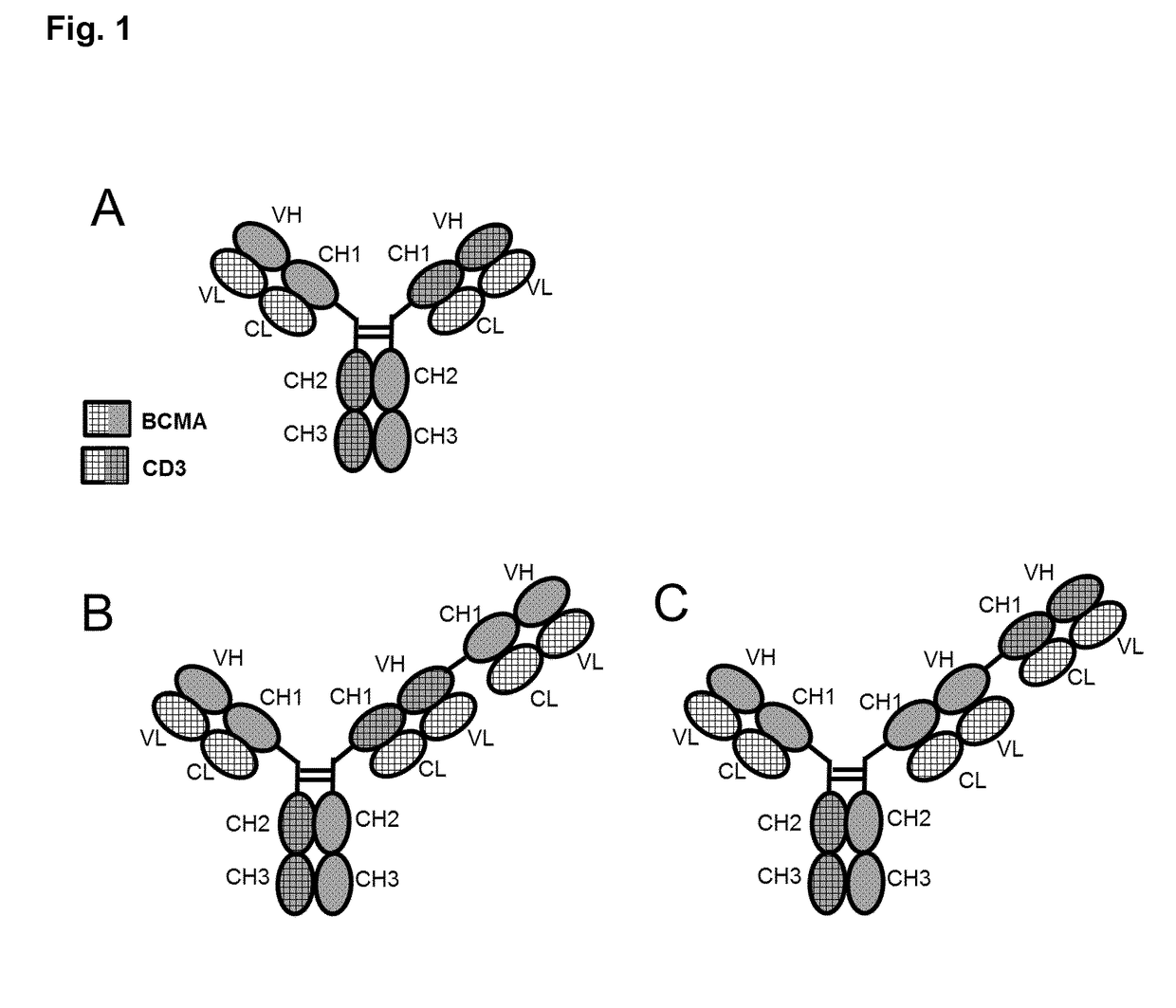 Bispecific antibodies against cd3epsilon and bcma