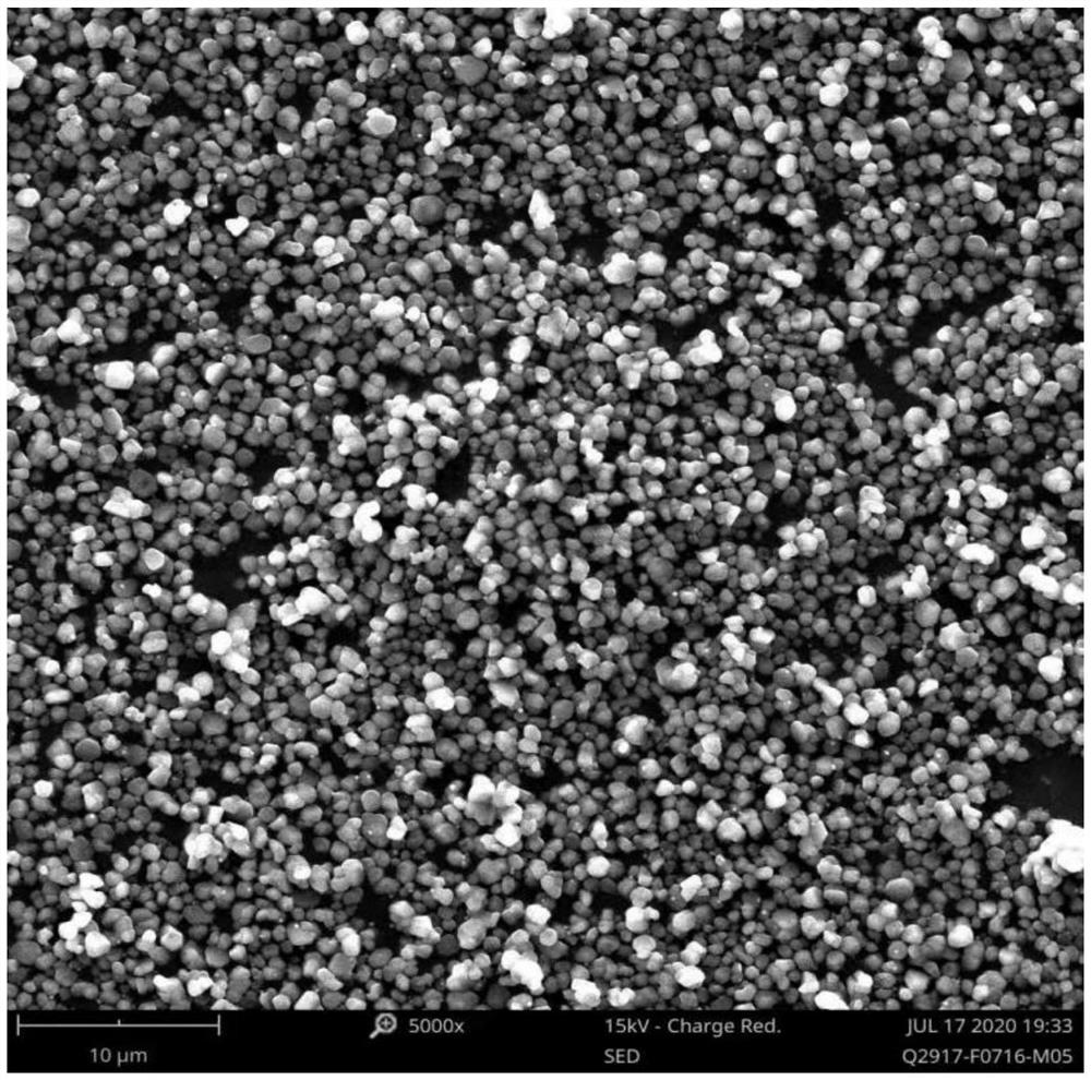 Method for preparing aluminum nitride by directly nitriding aluminum alkoxide