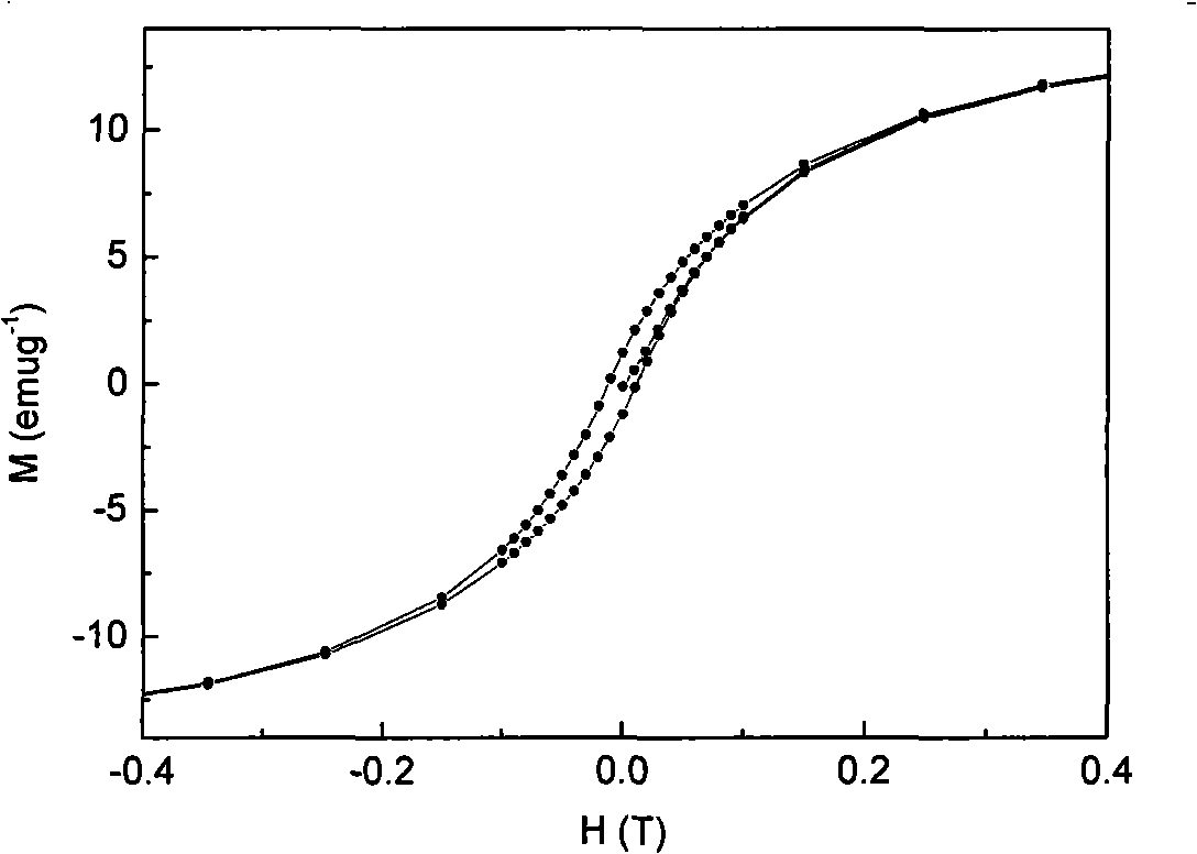 Method for preparing room-temperature ferromagnetic Fe doped ZnO nanometer wire