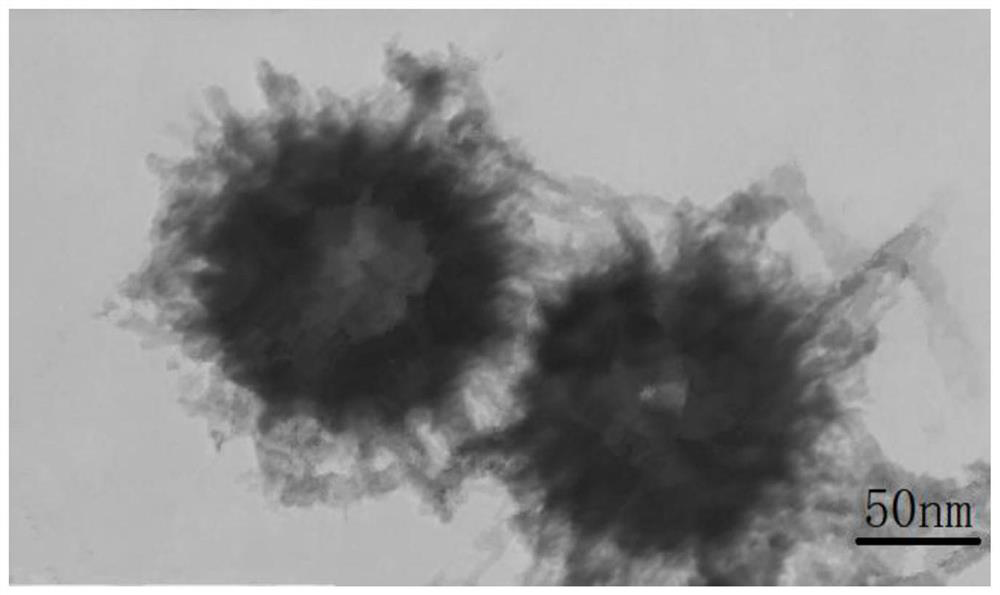 Mechanical nano sealant and preparation method thereof