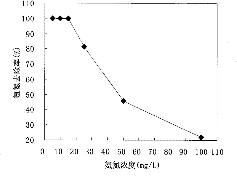 Method for preparing ammonia nitrogen sorbent by utilizing abandoned strawberry leaves and application of sorbent