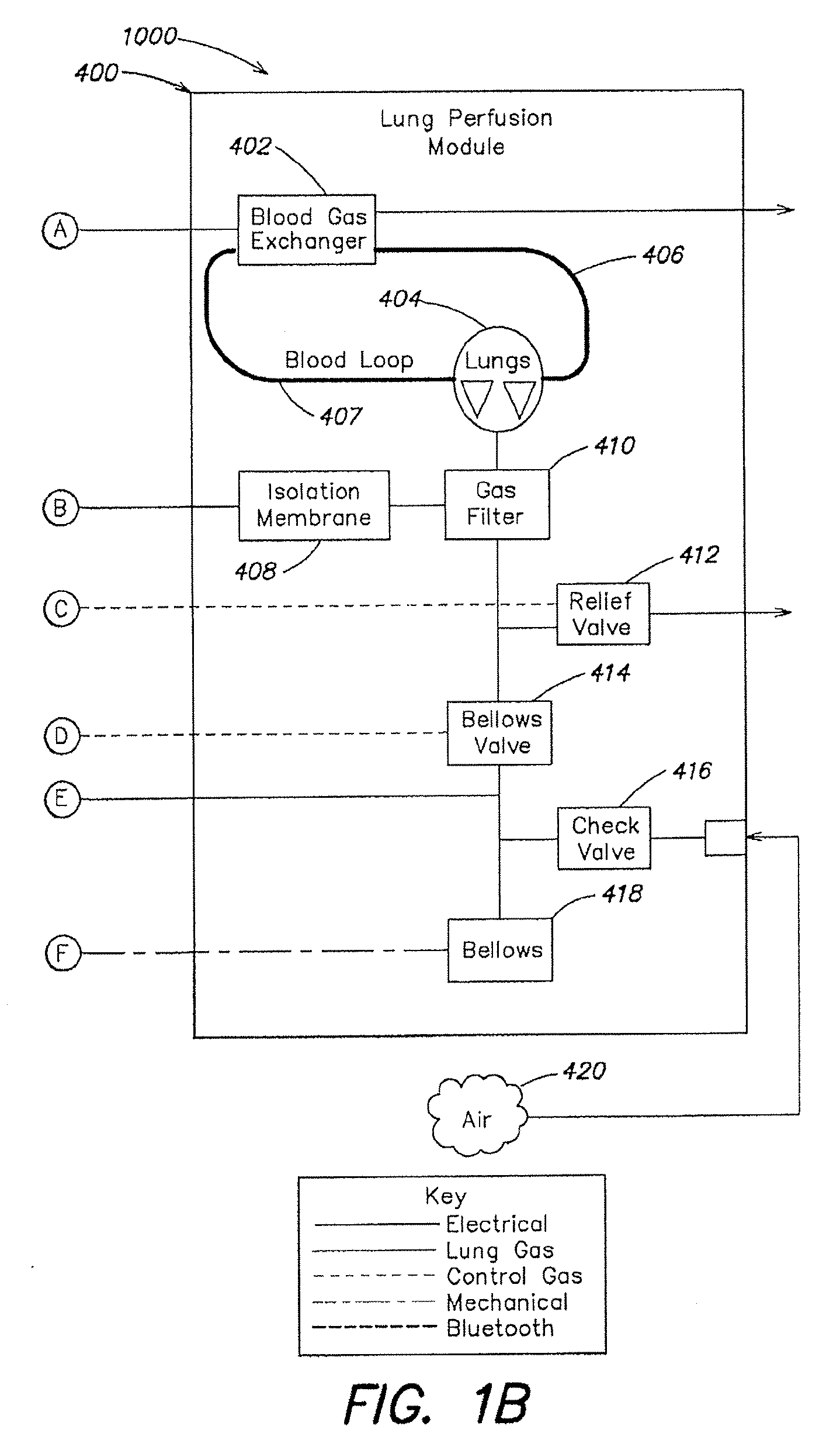 Systems and methods for ex vivo lung care