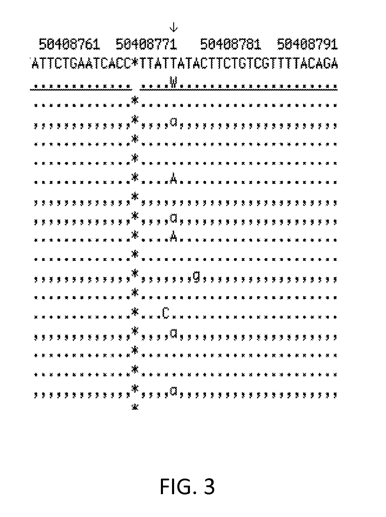 Systems and methods for diagnosing a predisposition to colon cancer