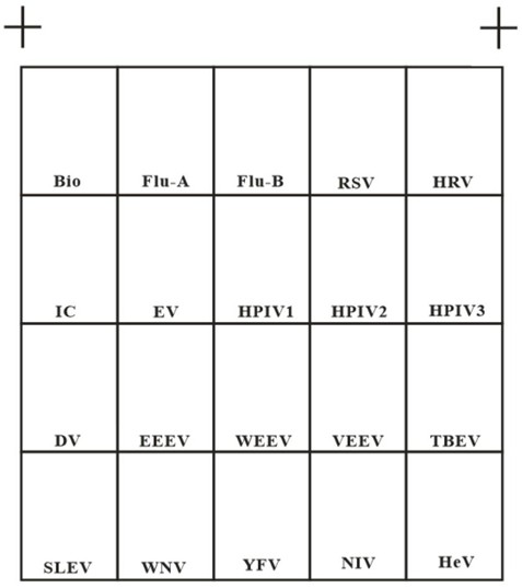 A multiplex PCR primer and probe combination for detecting pathogens and its application