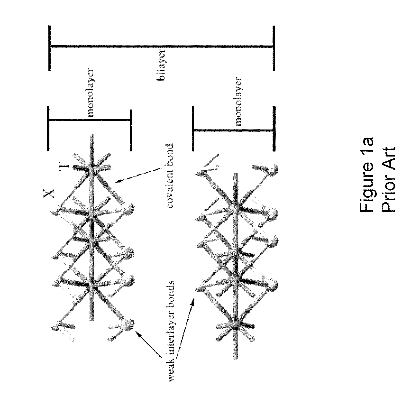 Method and system for generating a photo-response from MoS<sub>2 </sub>Schottky junctions
